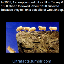 ultrafacts:(Fact Source) Follow Ultrafacts