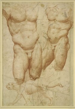 aucelo:  Roman school. Two studies of a nude