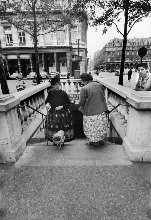 vintageeveryday:A woman walks her pet chicken up the subway stairs, Paris, France, 1956. Photographe