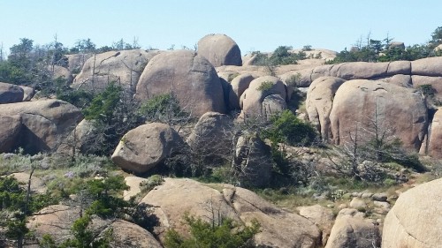 tara-tea-time:Hiking at Wichita Mountains in Oklahoma! Pictures don’t do it justice. There were buff