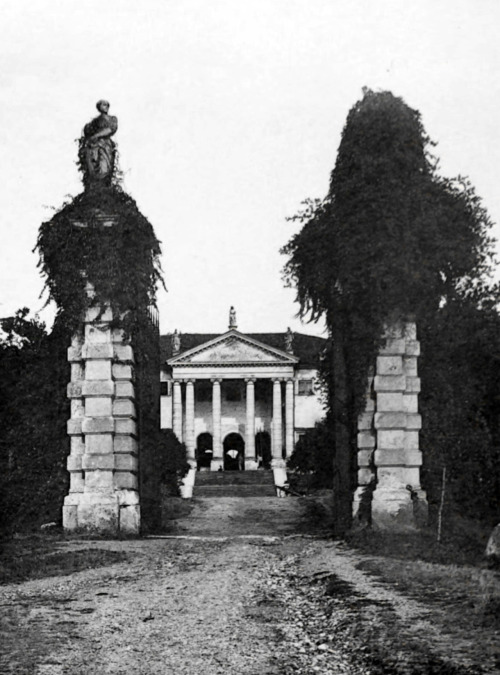Phénol et tubéreuse