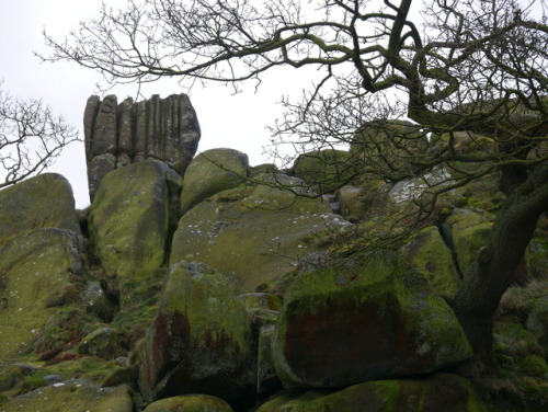 ‘Robin Hood’s Stride’ Prehistoric Natural Feature, Derbyshire, 22.2.17. It seems unlikely that early