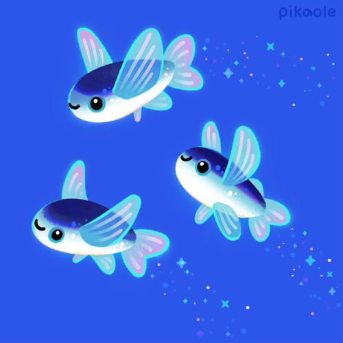 pikaole: Happy flying fish