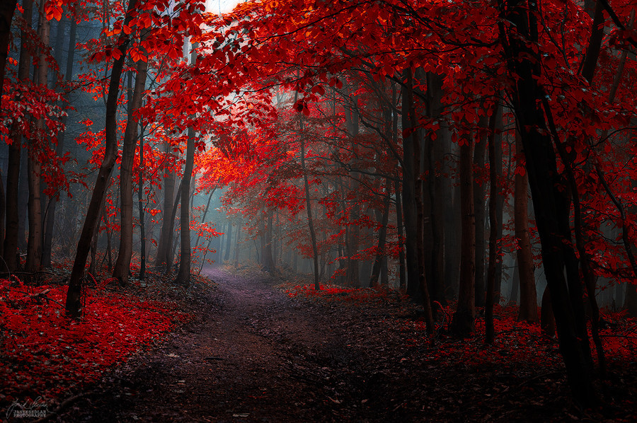 darkface:  (via 500px / Dream inside dream by Janek Sedlar) 