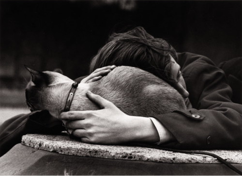 kvetchlandia:Lou Bernstein     Washington Square, New York City     1953