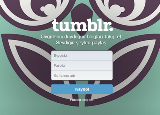 Tumblr media