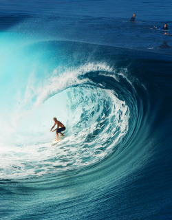 highenoughtoseethesea:  Huge and hollow. Ph: Tim McKenna