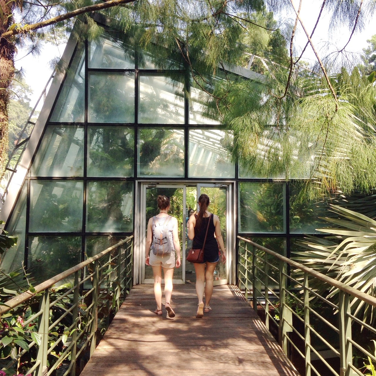 coqillage:  impromptu trip to the botanic garden