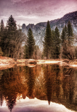 gl0vving:  Trees in Yosemite by Stuck in Customs on Flickr.