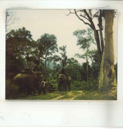 artfilmfan: collection of polaroids from behind the scenes of Mysterious Object At Noon by Apic