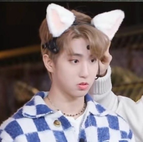  🐈 Stray Kids, Han Layouts