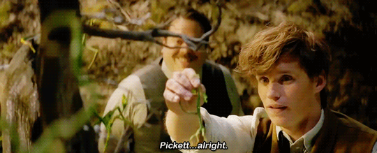 pottersource:#tbh i wouldn’t wanna leave newt’s side either 