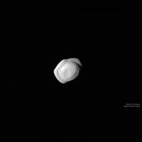 Porn Pics Saturn’s Moon Pan from Cassini #nasa