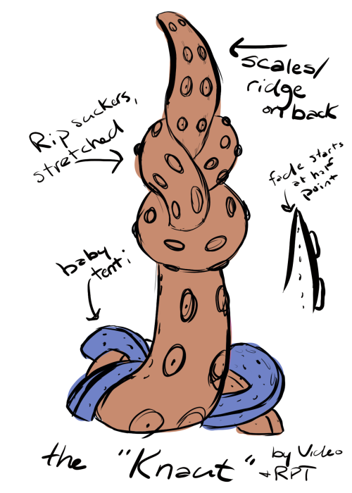 rockpapertentacles: Since Video is opening her commissions for creating 3D files, I went ahead and t
