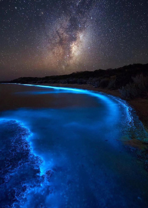 coiour-my-world:Magic of nature | Bioluminescent Phytoplankton and Milky way | South Arm, Tasmania, 