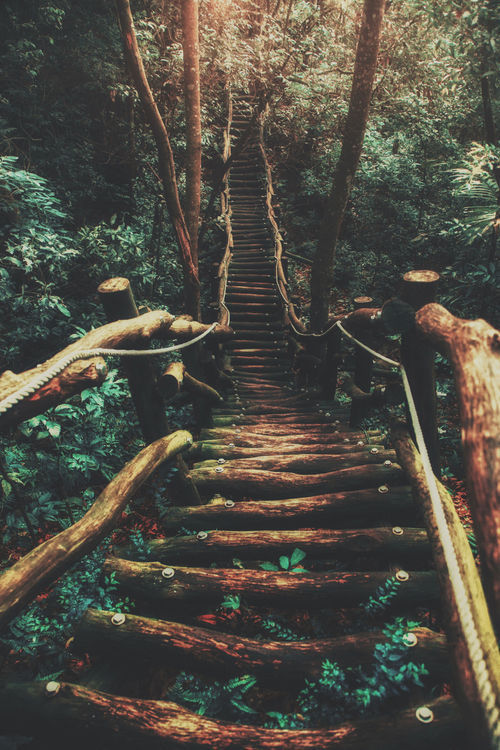 storyofthislife:bridge