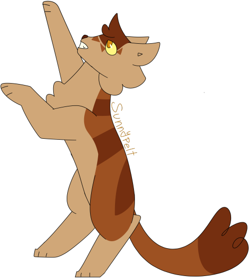 [Image Description: A digital drawing of Sunnypelt from the Warrior Cats books. Sunnypelt is a dark 