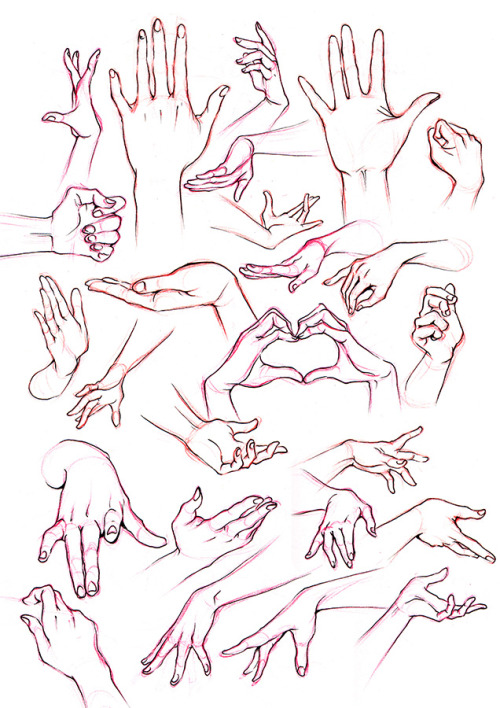 miyuli: Hand practice! My lecturer said my hands look all the same so I tried to put in some charact