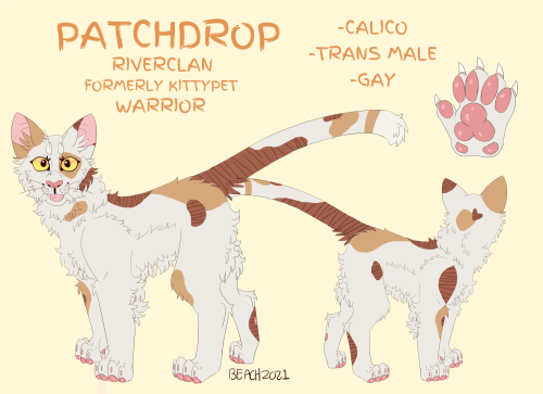 updated my main 3 warrior cat ocs!!![do not repost or copy thank you]