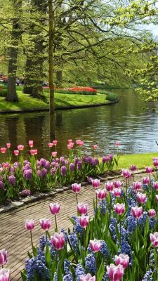 flowersgardenlove:  A lovely walk… dre Beautiful gorgeous amazing 