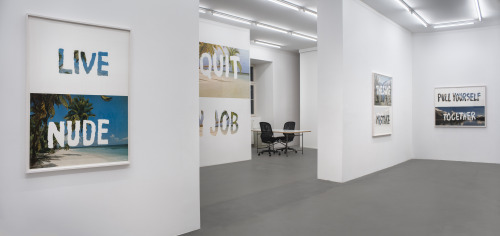 installation view