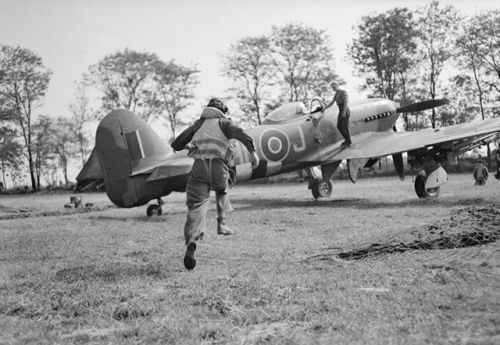 ww1ww2photosfilms: A pilot of No. 175 Squadron RAF scrambles to his waiting Hawker Typhoon Mk IB fig