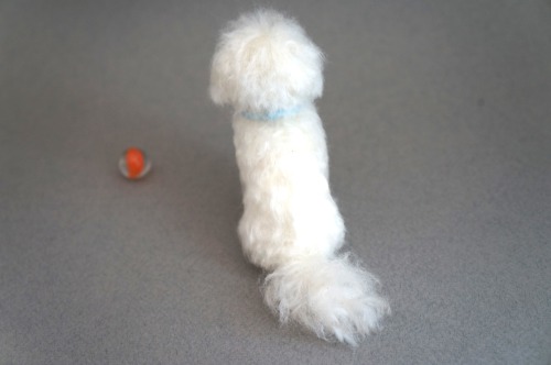  A happy needle felted Maltese. Hope you have a happy week ahead too!