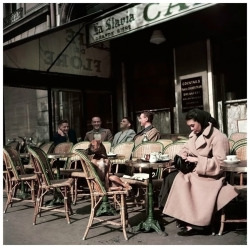 killerbeesting:  Robert Capa - Alla and her dog sitting at Cafe de Flore, Paris, 1952