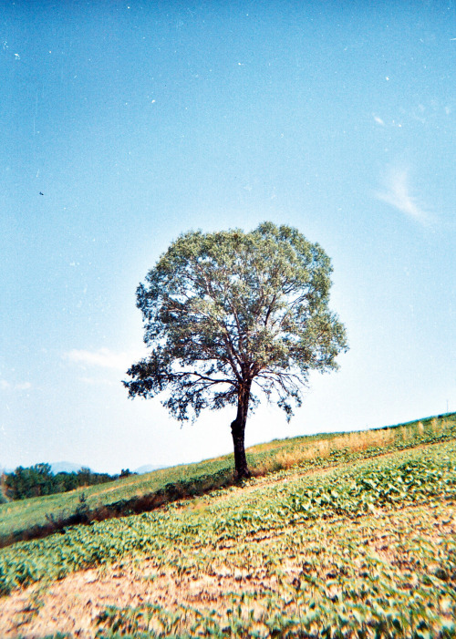 Umbria, Italy - 2014