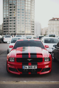 zenhance:  Ford Mustang Shelby | Source 