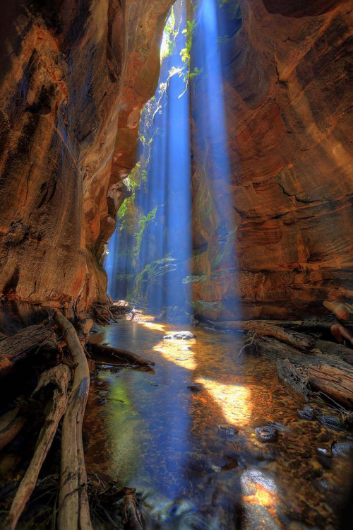 Rocky Creek Canyon, Blue Mountains / Australia (by Albert Chetcuti).