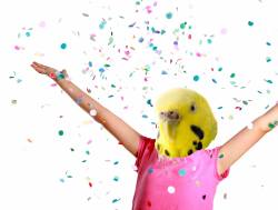 genderoftheday:  Today’s Gender of the day is: a bird-human with confetti! 