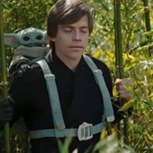 Luke Skywalker with Grogu in a bag…