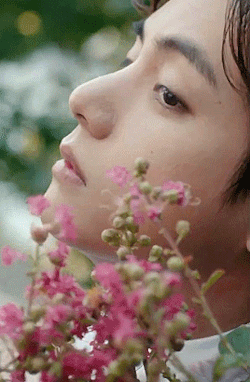FLOWER BOYS 🌻  >↳  11/∞ #kim taehyung#bts#btsgif#dailybts#dailybangtan#dailydaegu#maknaelinegifs#flower series#kth#moje #he IS SO PRETTY