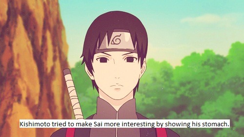 The Naruto Fandom.