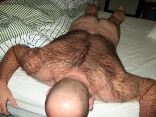 hairybackstuds:Meet and fuck local gay men: http://bit.ly/2eGvAl3