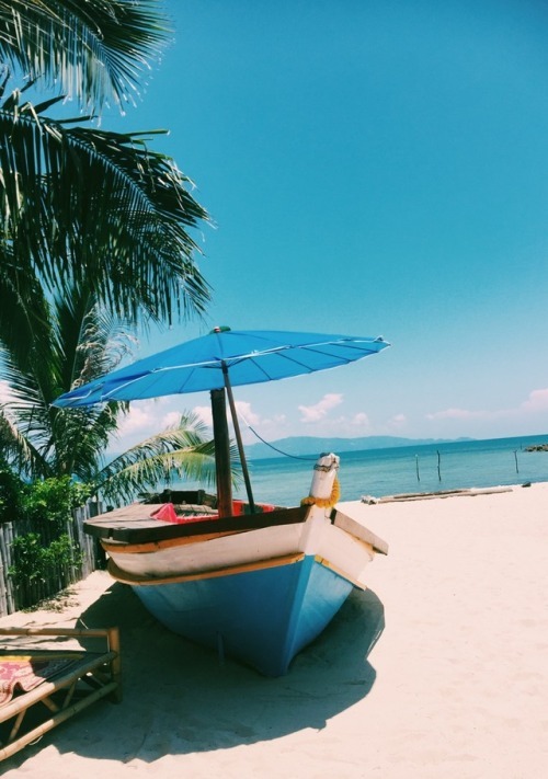 The Beauty and the Beach