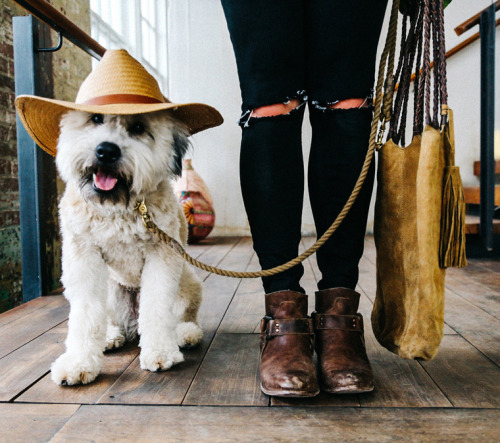 freepeople:  This week’s featured stylist.