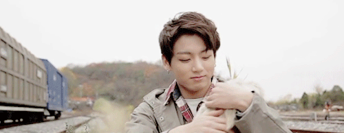 jminies:puppy overload!