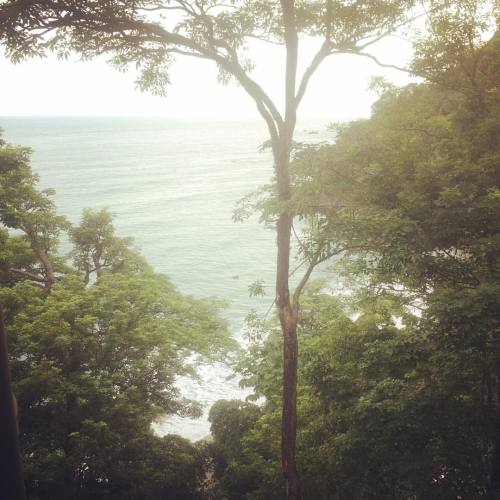 justgocostarica