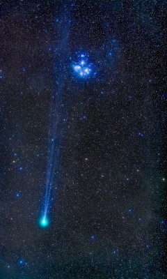 astronomicalwonders:  A Comet and a Cluster This beautiful image shows the comet Lovejoy as it moves past the Pleiades Cluster. While the Pleiades Star Cluster has been studied for thousands of years, the comet Lovejoy was only discovered in August of