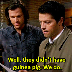 dahliasheng:  It physically pains me every time Castiel has his dreams of a cute fluffy animal crushed. 