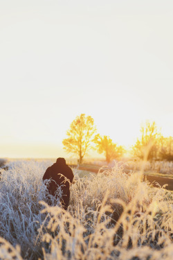 avenuesofinspiration:  Winter Wonderland | Photographer © | AOI  