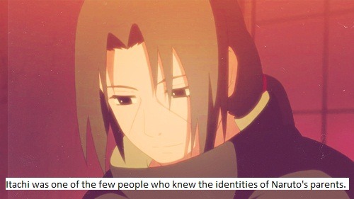 The Naruto Fandom.
