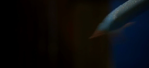 bilbotheunicorn:   