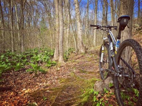 noreasterbackcountry:  Found more green out there today.