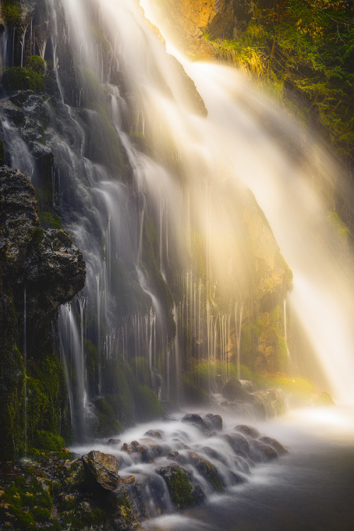 like-wildfire:Gardens of Water by Marco Marinescu