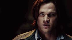jensenacklesruinedmylife:  #wHY DON’T MORE PEOPLE TALK ABOUT THIS SCENE???!!?/ #I LOVE IT SO MUCH #SAM LITERALLY JUST #CLOSES HIS EYES #AND //BREATHES// #AND THEY DIE #LIKE FUCK MAN #MARK ME DOWN AS SCARED AND HORNY  