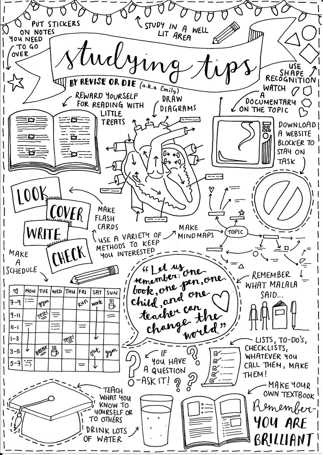 staedtlers-and-stabilos:  Study Tips Graphic 