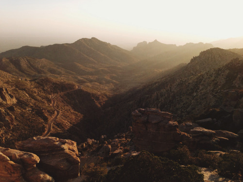 arizonanature:Mt. Lemmon – Follow Arizona Nature!